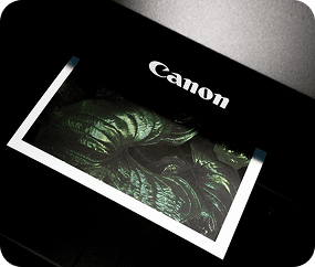 Professional Photography